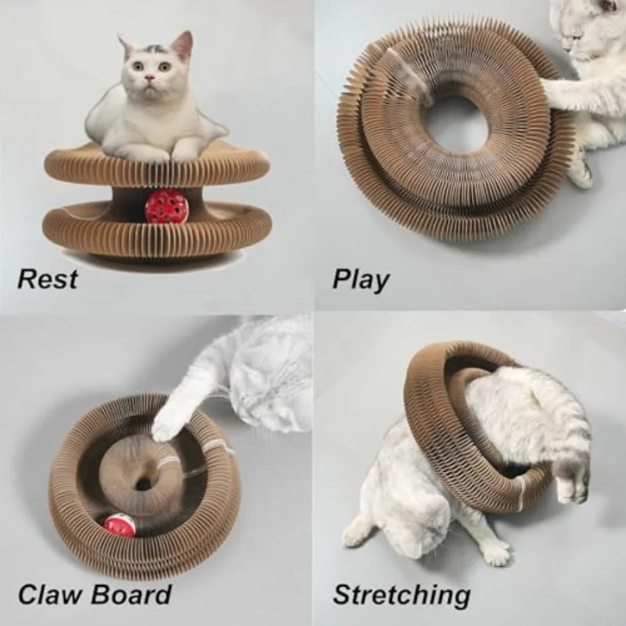 Foldable Cat Tunnel Toy - Snibble Pets