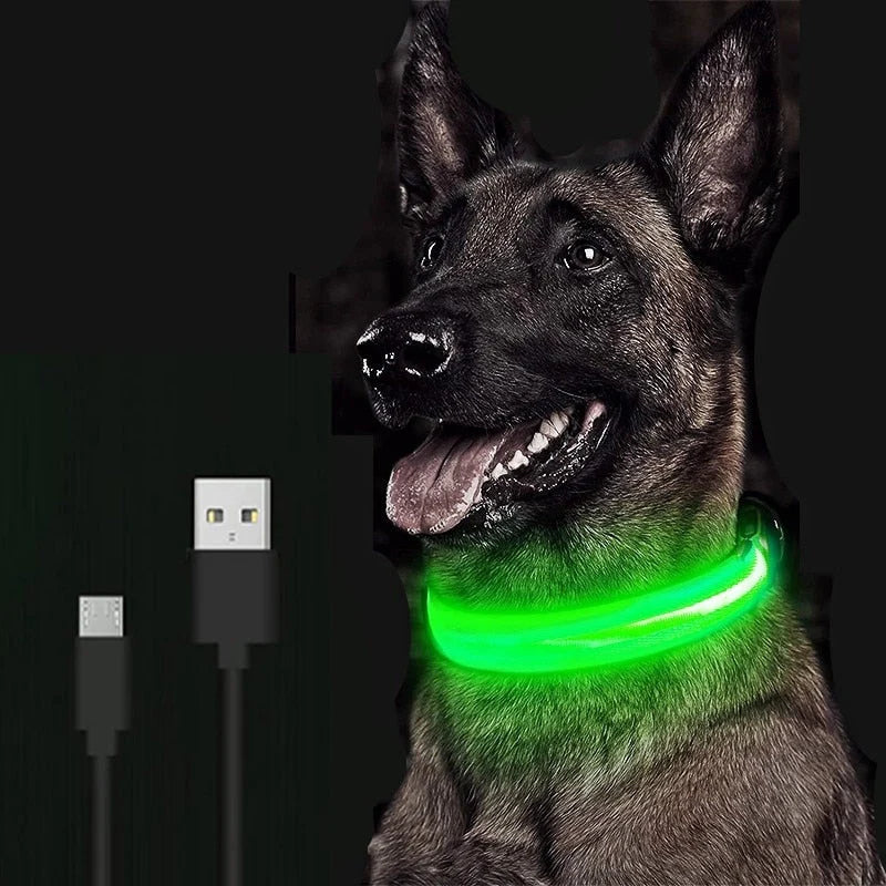 LED Safety Dog Collar - Snibble Pets