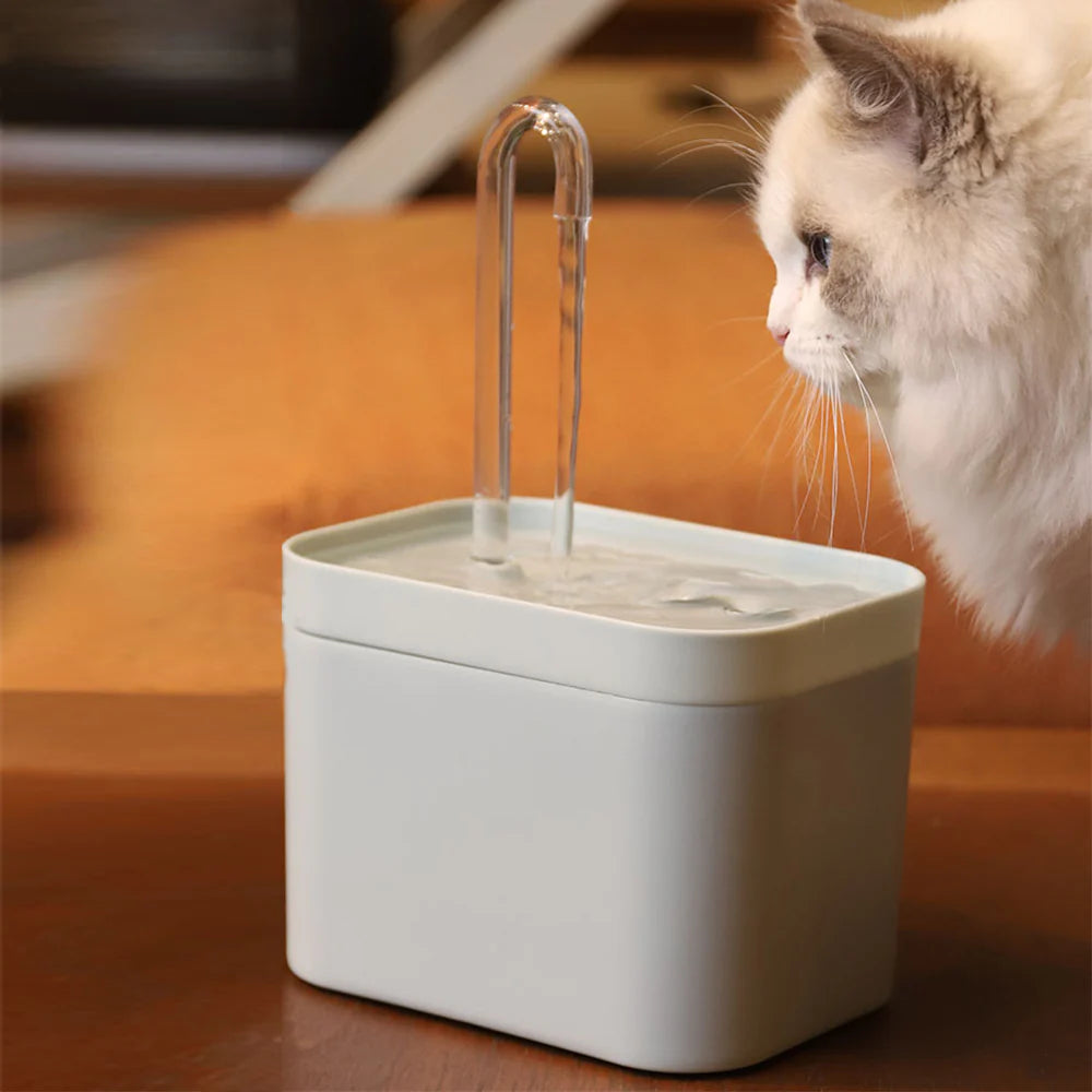 Auto Filter Cat Fountain - Snibble Pets