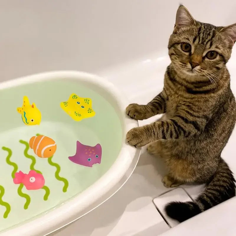 Pet Splash Pool Toy - Snibble Pets