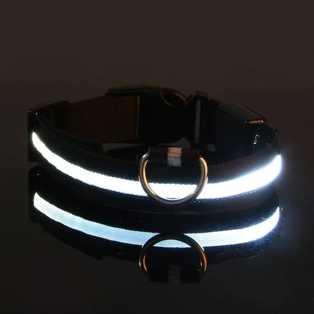 LED Safety Dog Collar - Snibble Pets