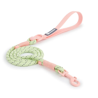 Small Dog Walking Collar - Snibble Pets