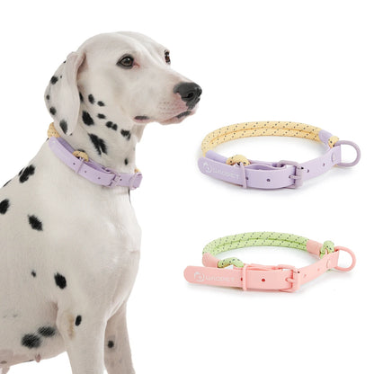 Small Dog Walking Collar - Snibble Pets