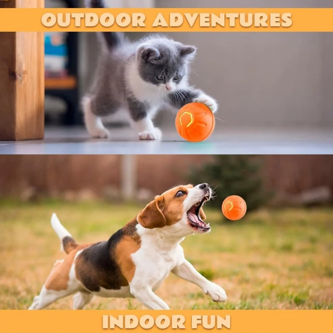 Auto Motion Pet Ball - Snibble Pets