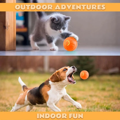 Auto Motion Pet Ball - Snibble Pets