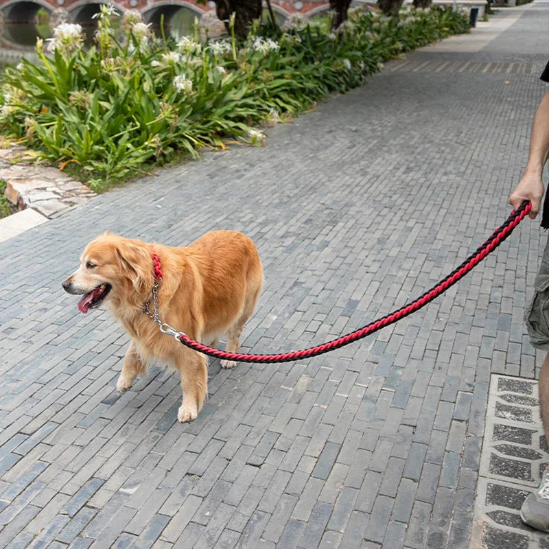 Heavy Duty Dog Leash - Snibble Pets