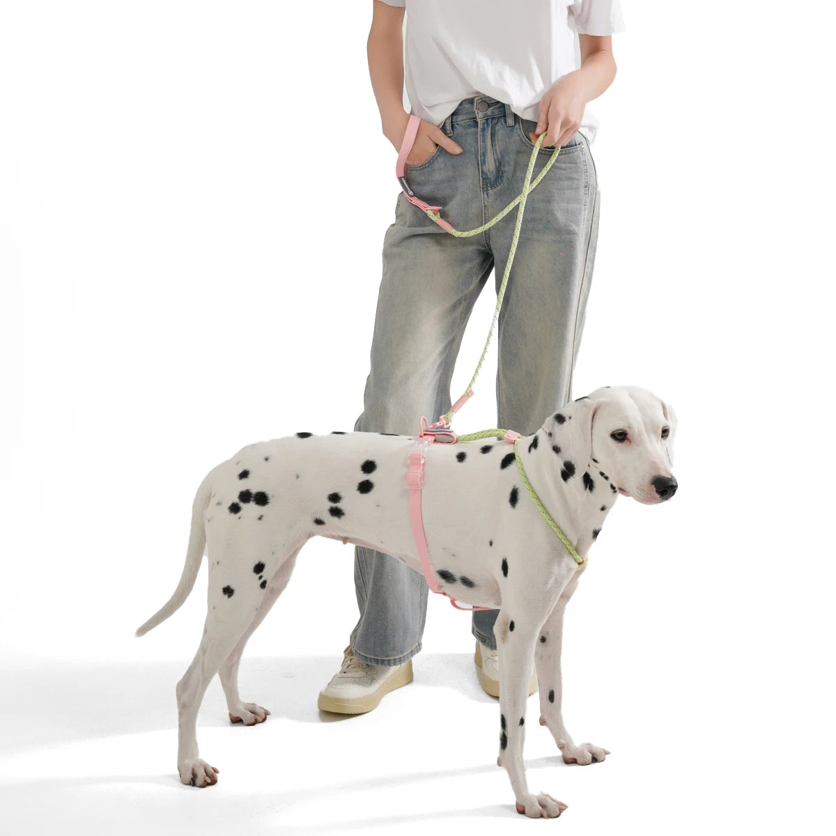 Small Dog Walking Collar - Snibble Pets