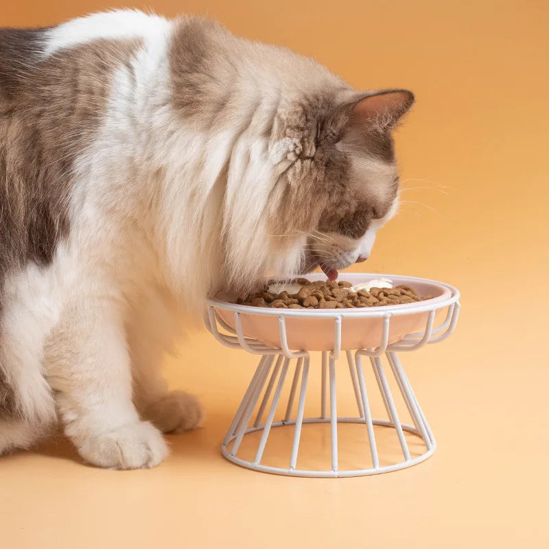 Raised Ceramic Cat Bowl - Snibble Pets