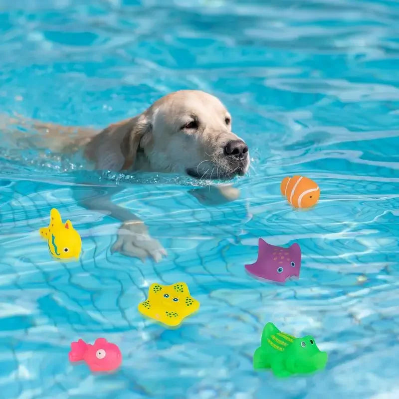 Pet Splash Pool Toy - Snibble Pets