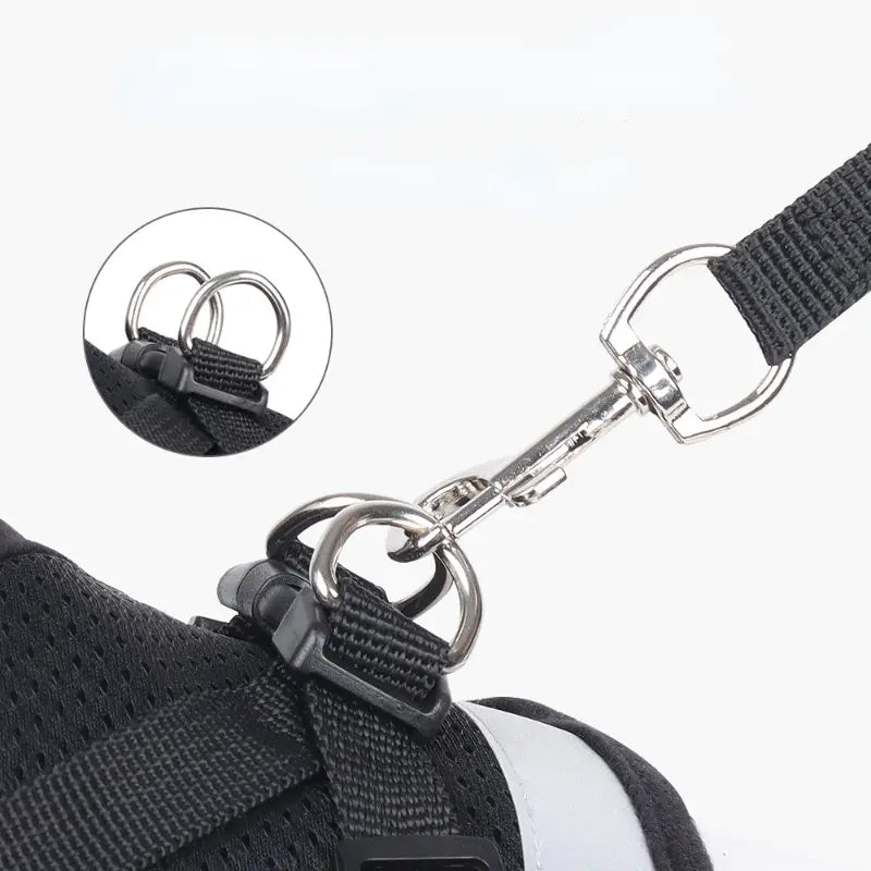 Mesh Dog Harness Leash Set - Snibble Pets