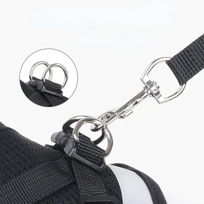 Mesh Dog Harness Leash Set - Snibble Pets