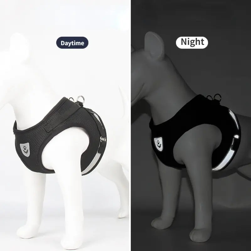 Mesh Dog Harness Leash Set - Snibble Pets
