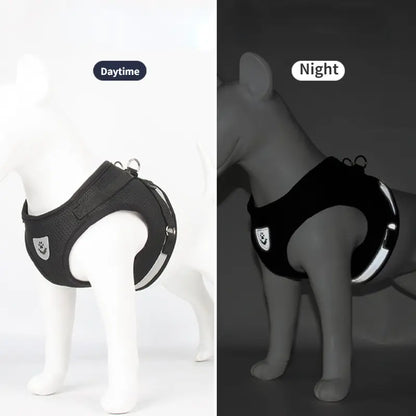 Mesh Dog Harness Leash Set - Snibble Pets