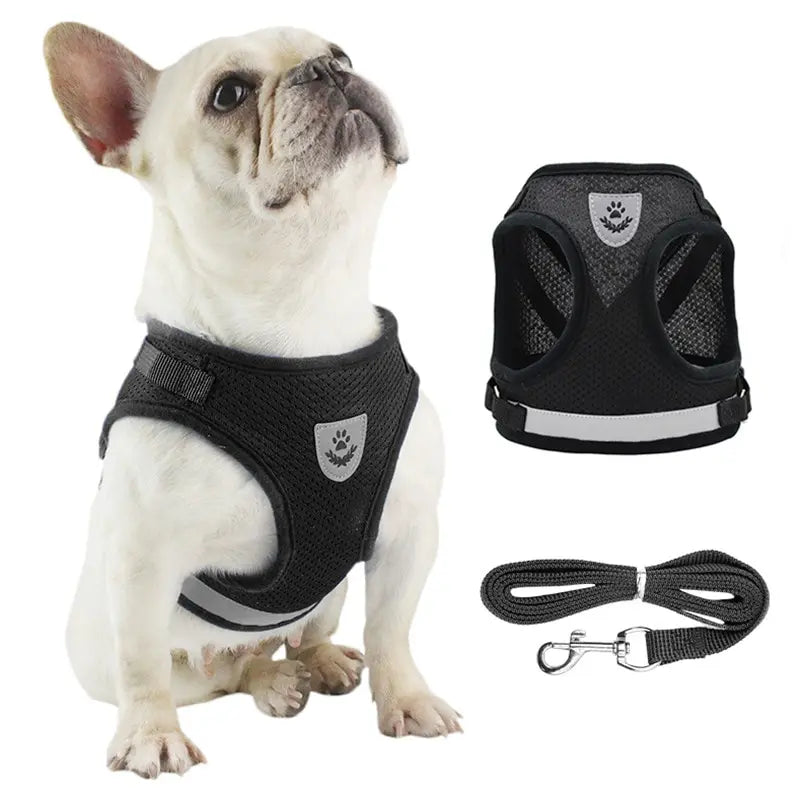 Mesh Dog Harness Leash Set - Snibble Pets