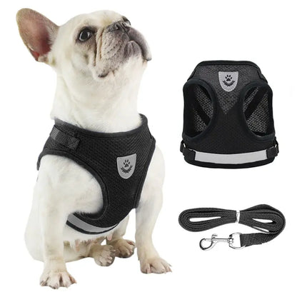 Mesh Dog Harness Leash Set - Snibble Pets