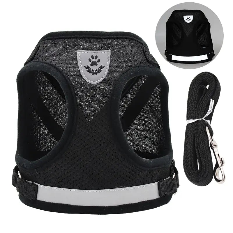 Mesh Dog Harness Leash Set - Snibble Pets