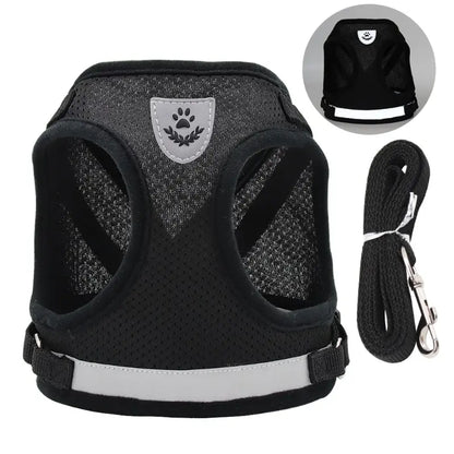 Mesh Dog Harness Leash Set - Snibble Pets