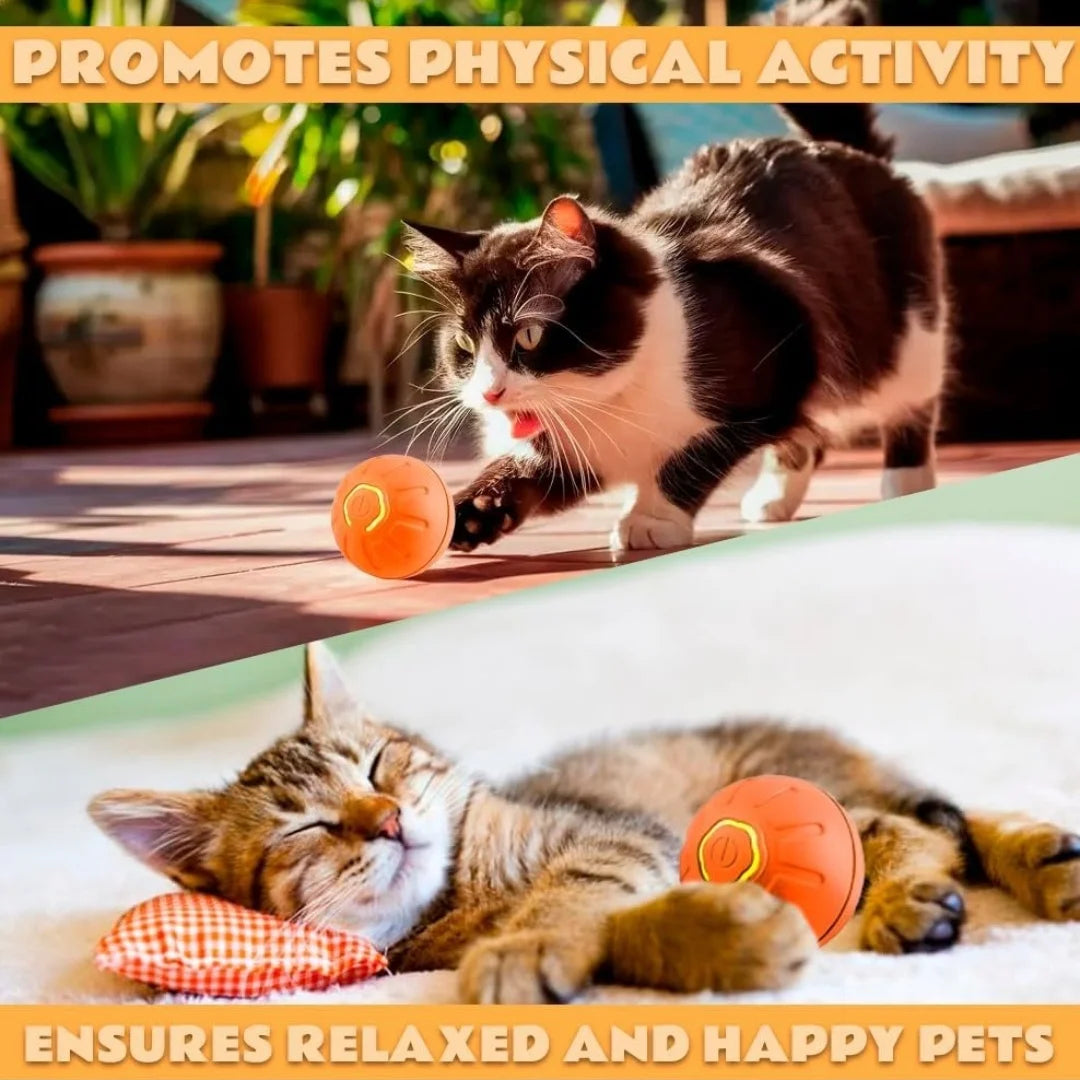 Auto Motion Pet Ball - Snibble Pets