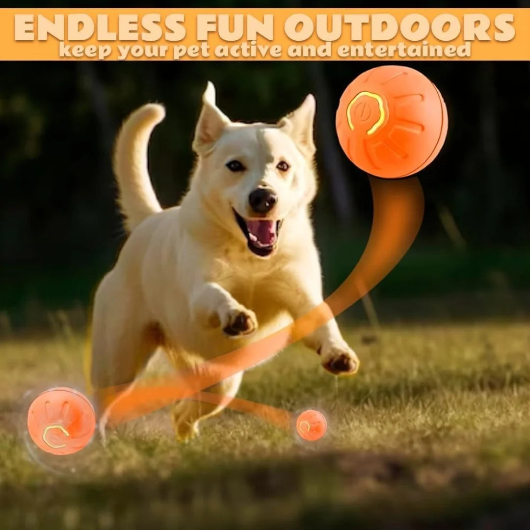 Auto Motion Pet Ball - Snibble Pets