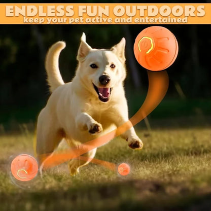 Auto Motion Pet Ball - Snibble Pets