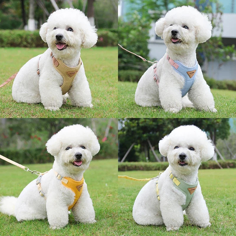 Breathable Puppy Harness Set - Snibble Pets