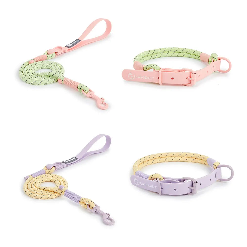Small Dog Walking Collar - Snibble Pets