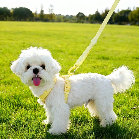 Reflective Dog Harness Set - Snibble Pets