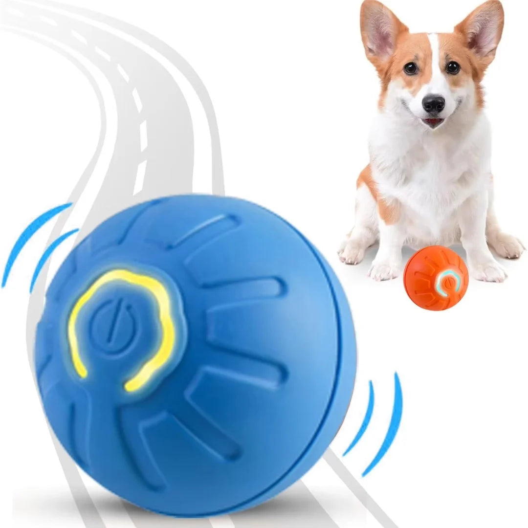 Auto Motion Pet Ball - Snibble Pets