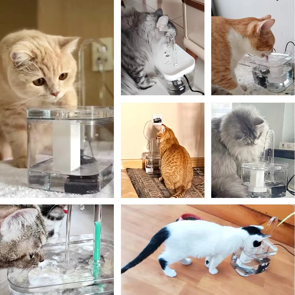 Auto Filter Cat Fountain - Snibble Pets