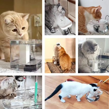 Auto Filter Cat Fountain - Snibble Pets