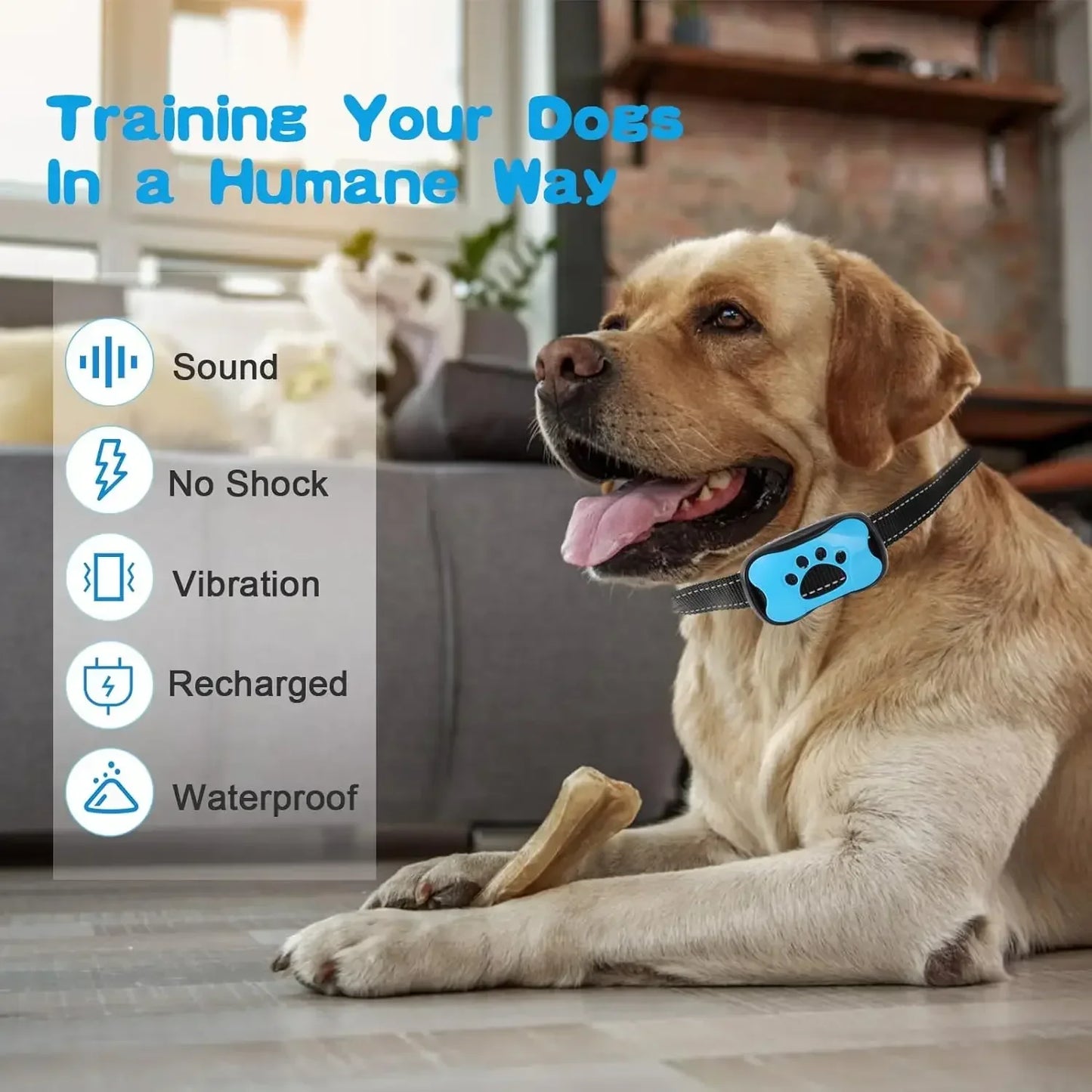 Anti Bark Training Collar - Snibble Pets