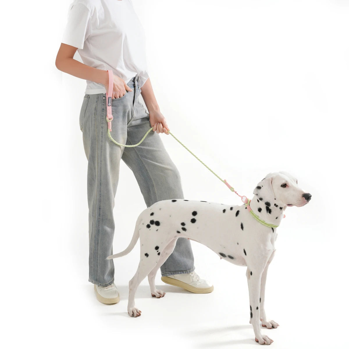 Small Dog Walking Collar - Snibble Pets