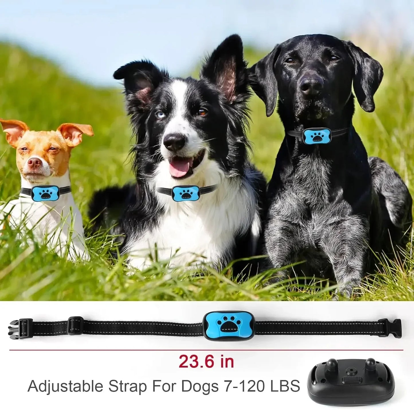 Anti Bark Training Collar - Snibble Pets
