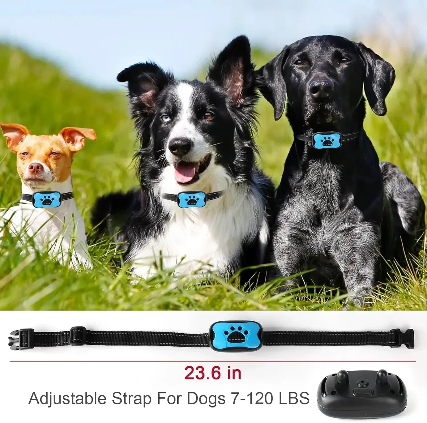 Anti Bark Training Collar - Snibble Pets