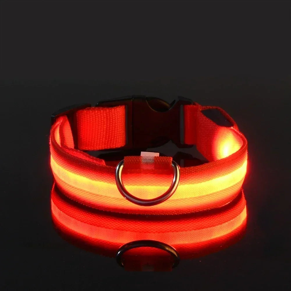 LED Safety Dog Collar - Snibble Pets