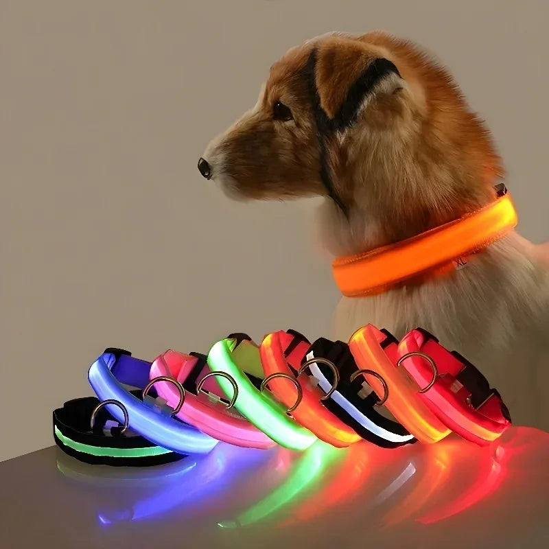LED Safety Dog Collar - Snibble Pets