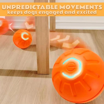 Auto Motion Pet Ball - Snibble Pets