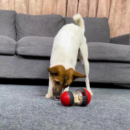 IQ Puzzle Dog Toy - Snibble Pets