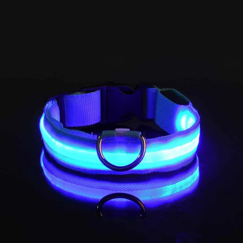 LED Safety Dog Collar - Snibble Pets