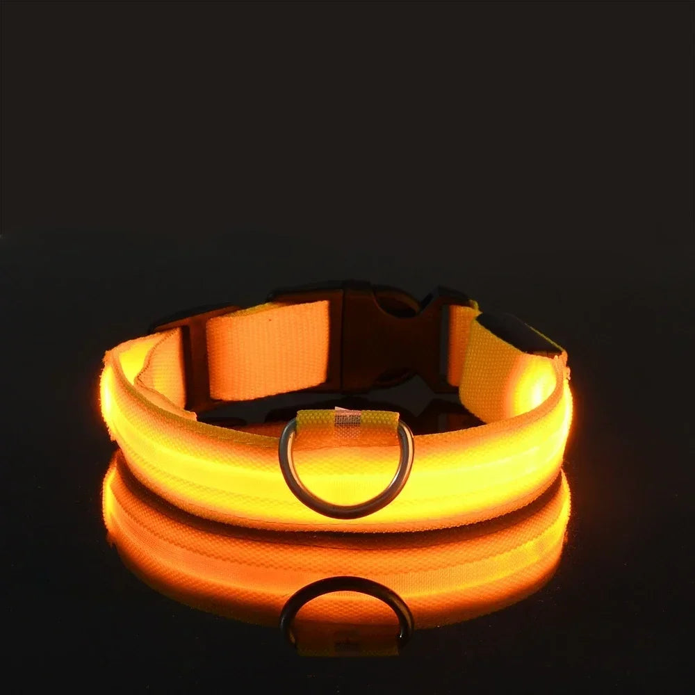 LED Safety Dog Collar - Snibble Pets