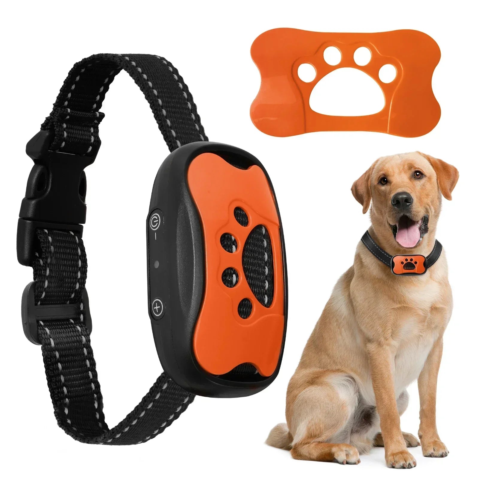 Anti Bark Training Collar - Snibble Pets