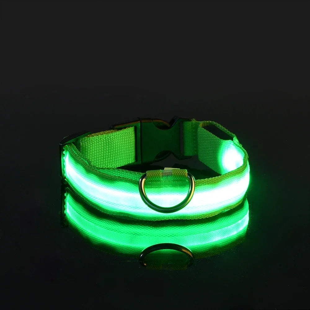 LED Safety Dog Collar - Snibble Pets