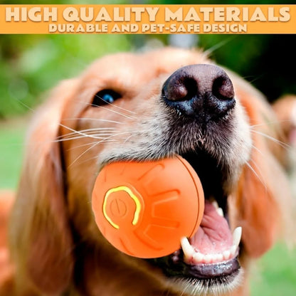 Auto Motion Pet Ball - Snibble Pets