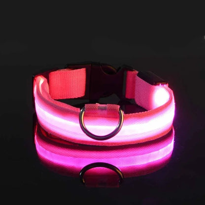 LED Safety Dog Collar - Snibble Pets