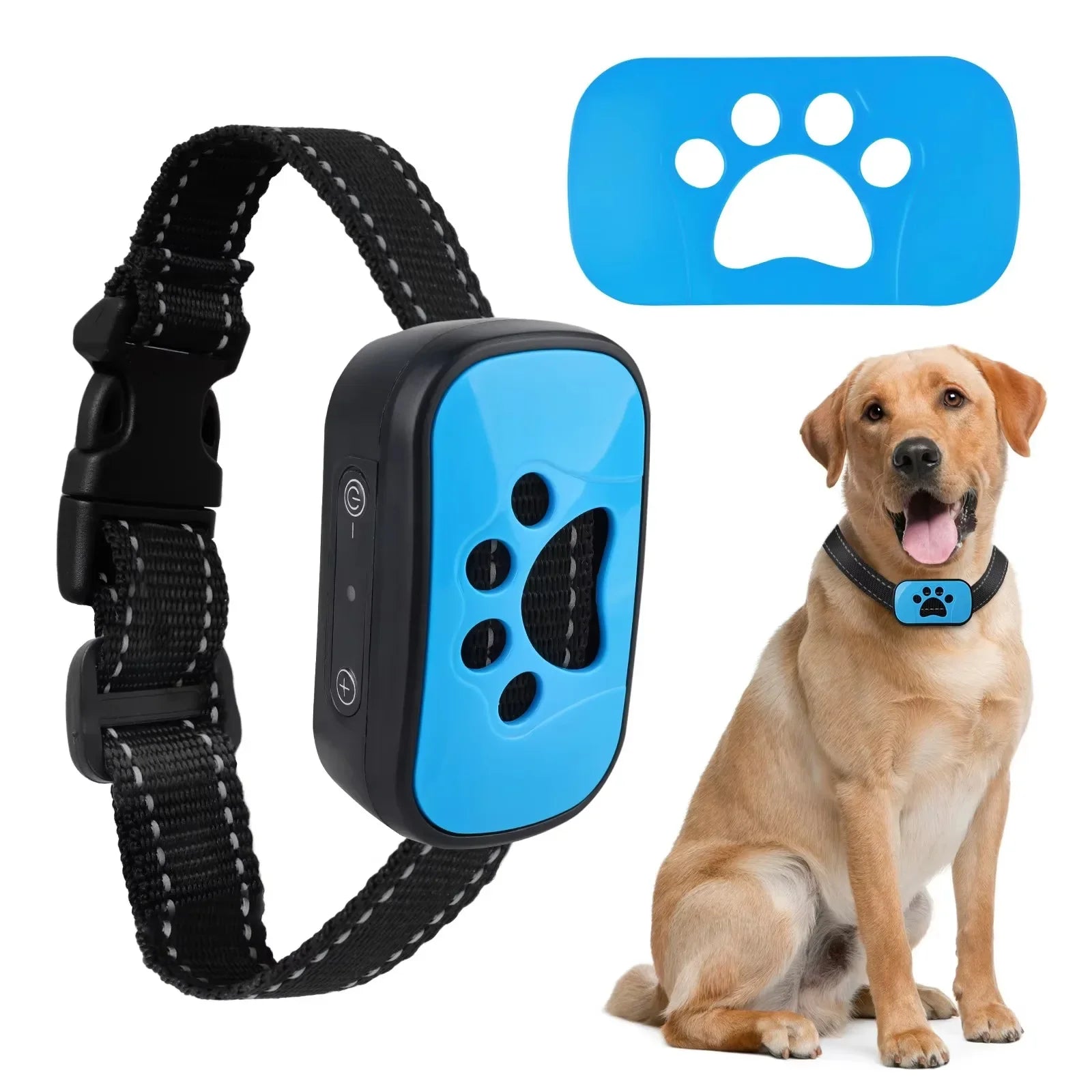 Anti Bark Training Collar - Snibble Pets