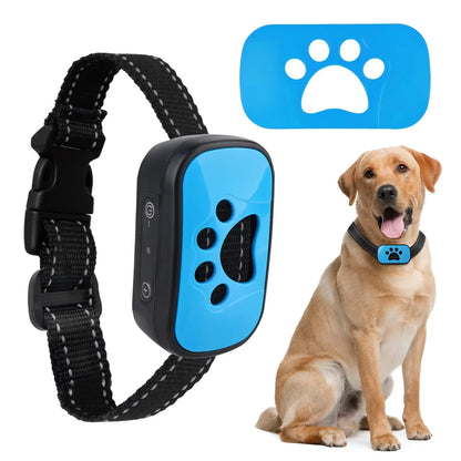 Anti Bark Training Collar - Snibble Pets