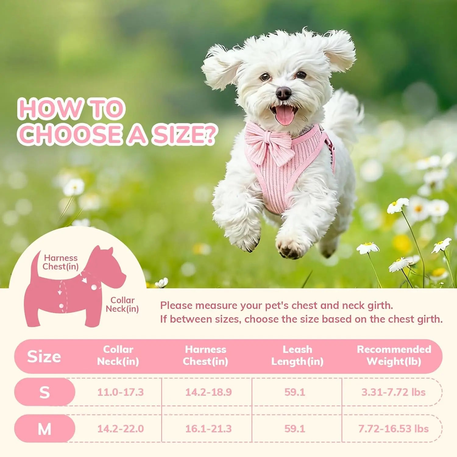 No Pull Dog Harness Set - Snibble Pets