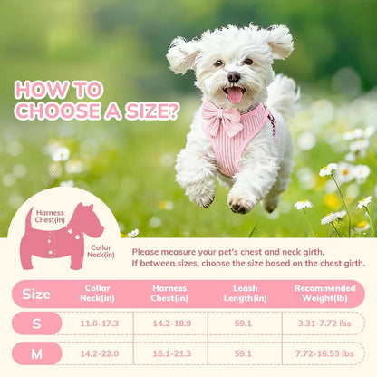 No Pull Dog Harness Set - Snibble Pets
