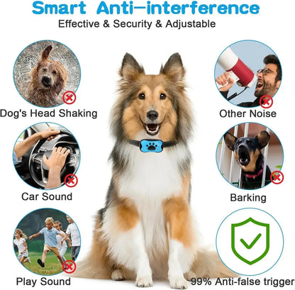 Anti Bark Training Collar - Snibble Pets