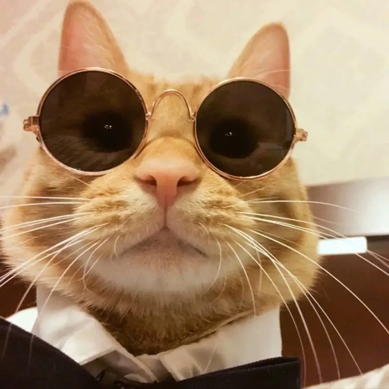 Vintage Pet Sunglasses - Snibble Pets